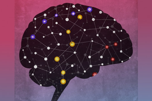 Исследования мозга и сознания
